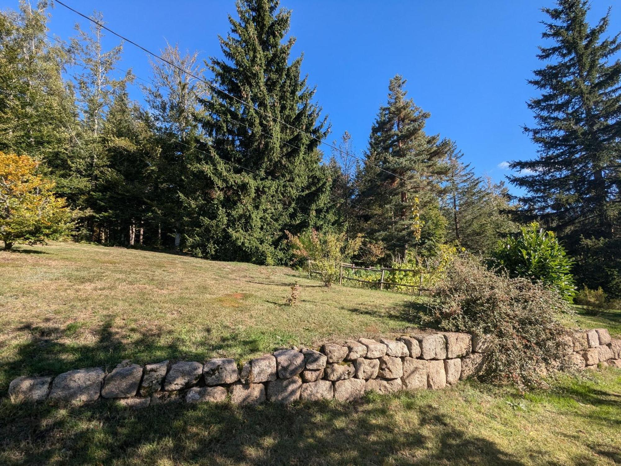 Gite Nature Au Chambon-Sur-Lignon: Terrasse, Wifi, Proche Activites Et Commerces - Fr-1-582-137 Le Chambon-sur-Lignon Exterior foto